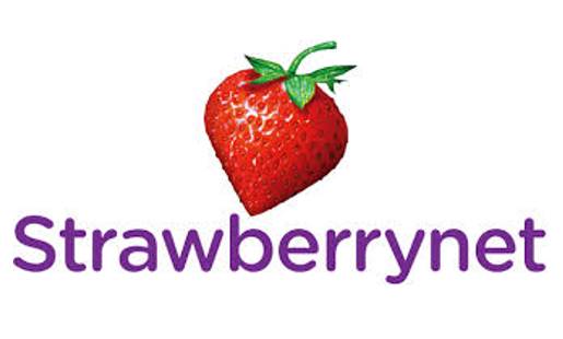 strawberrynet סטרוברינט לוגו